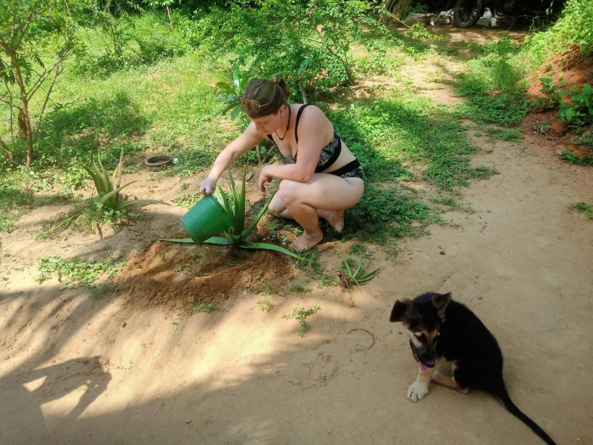 Beach Bungalow Yala Kirinda  Buitenkant foto