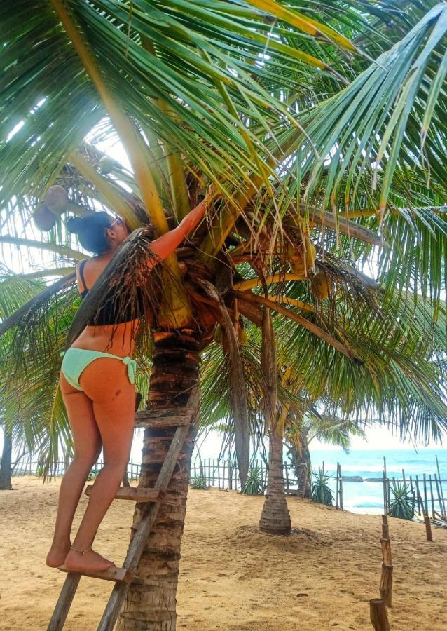 Beach Bungalow Yala Kirinda  Buitenkant foto
