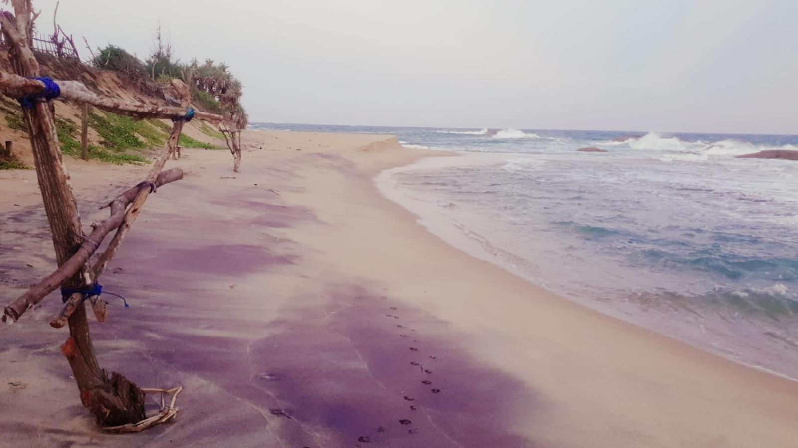 Beach Bungalow Yala Kirinda  Buitenkant foto
