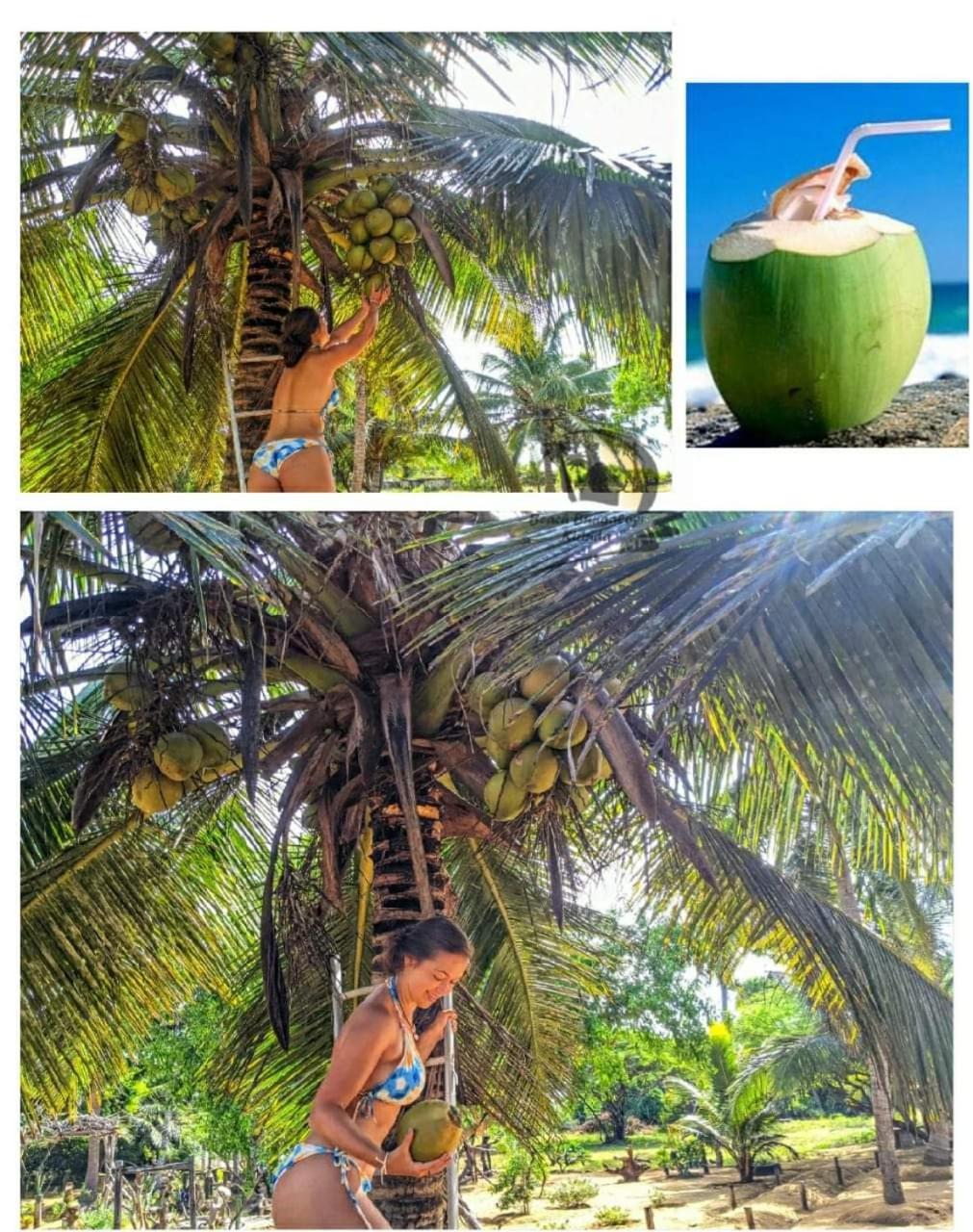 Beach Bungalow Yala Kirinda  Buitenkant foto